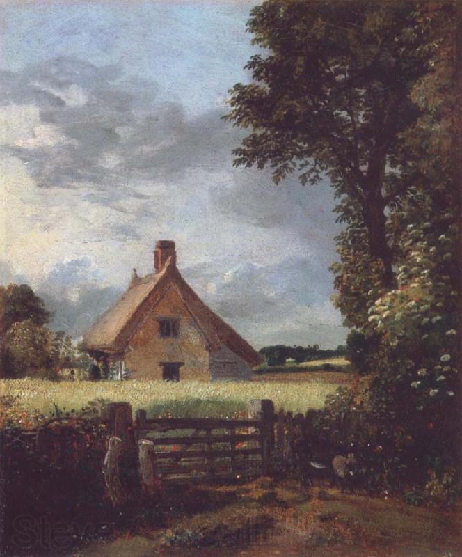 John Constable A cottage in a cornfield Norge oil painting art
